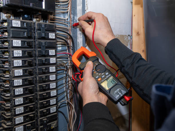 Best Electric Panel Repair  in Durant, MS